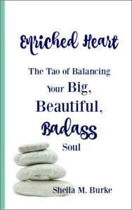 enriched book cover FRONT1