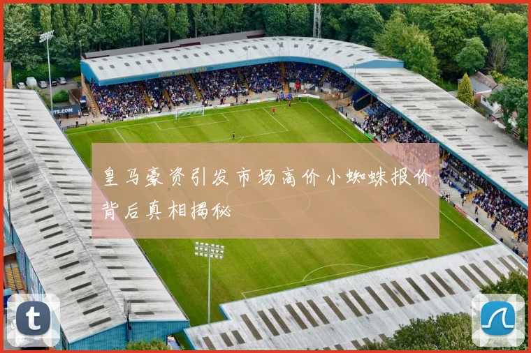 皇马豪资引发市场高价小蜘蛛报价背后真相揭秘